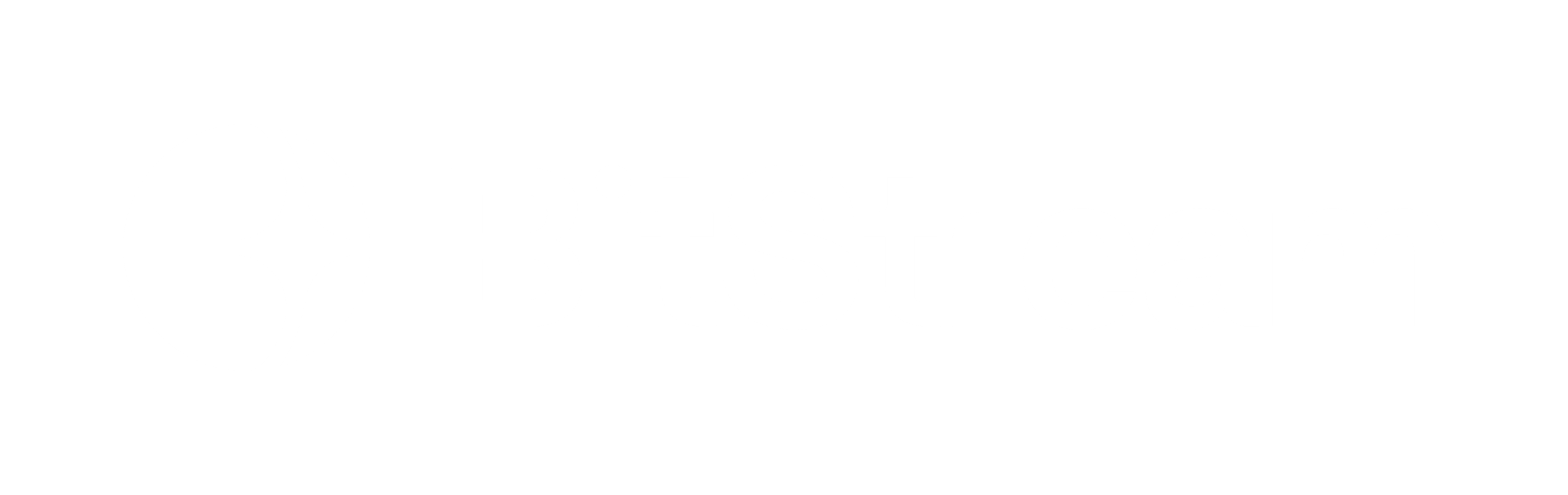 Bitstream_logo_RGB-11